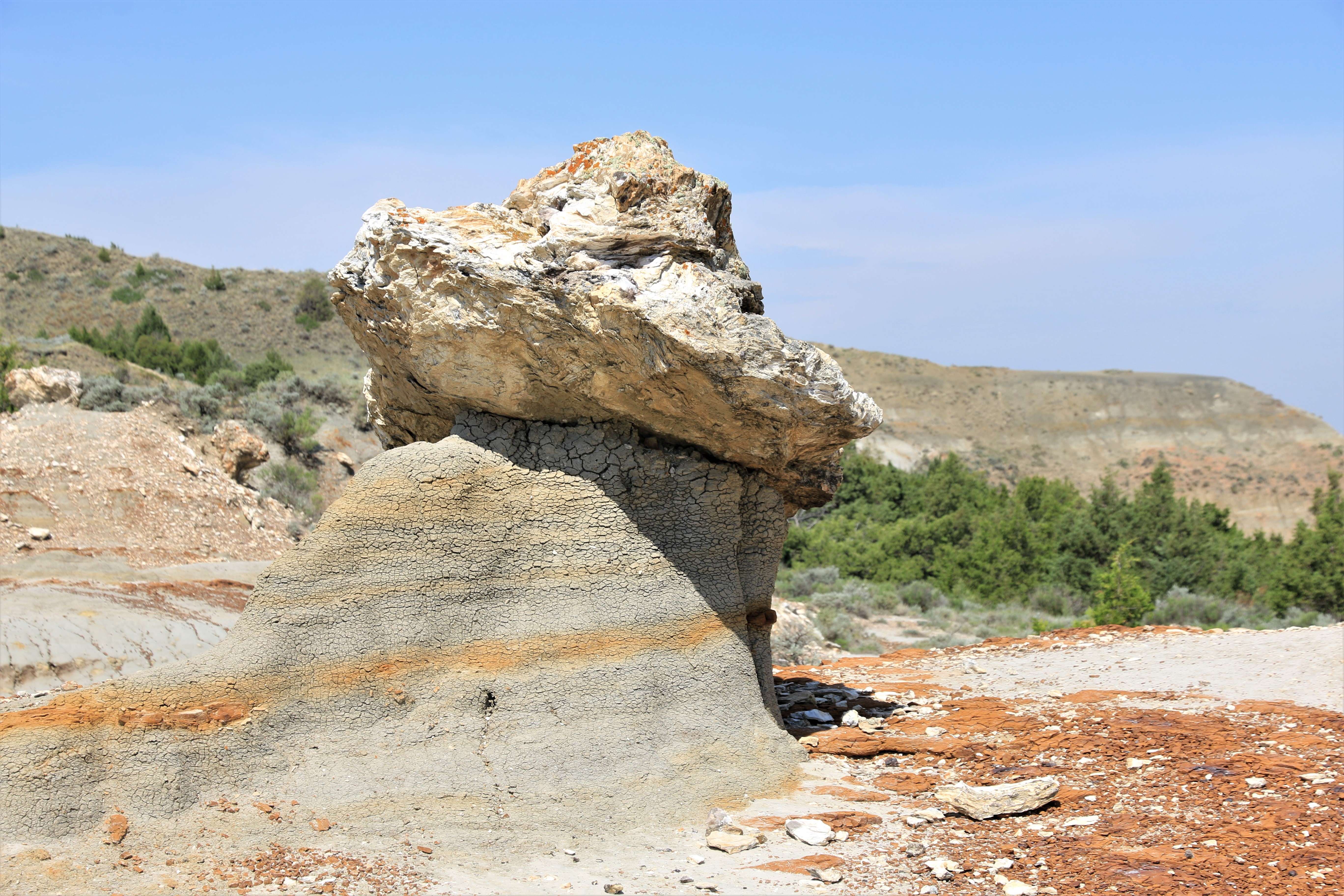 Theodore Roosevelt NP